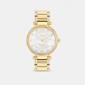 Dámské Hodinky Coach Cary 34 Mm Zlaté | 4053978-CZ