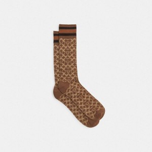 Dámské Ponožky Coach Signature Calf Socks Hnědožlutý | 7023469-CZ