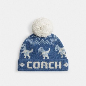 Dámské Čepice Coach Rexy Fair Isle Print Tmavě Blankyt Viacfarebný | 2079581-CZ