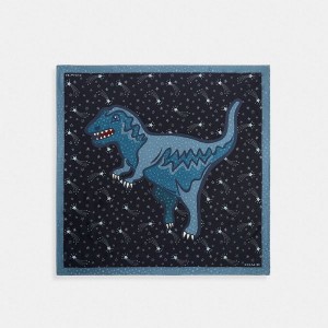 Dámské Šátek Coach Shooting Star Rexy Print Silk Square Černé Blankyt | 9175436-CZ