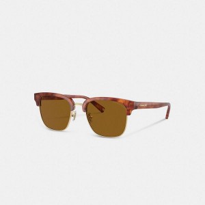 Pánské Sluneční Brýle Coach Retro Sunglasses Hnědé | 4582061-CZ