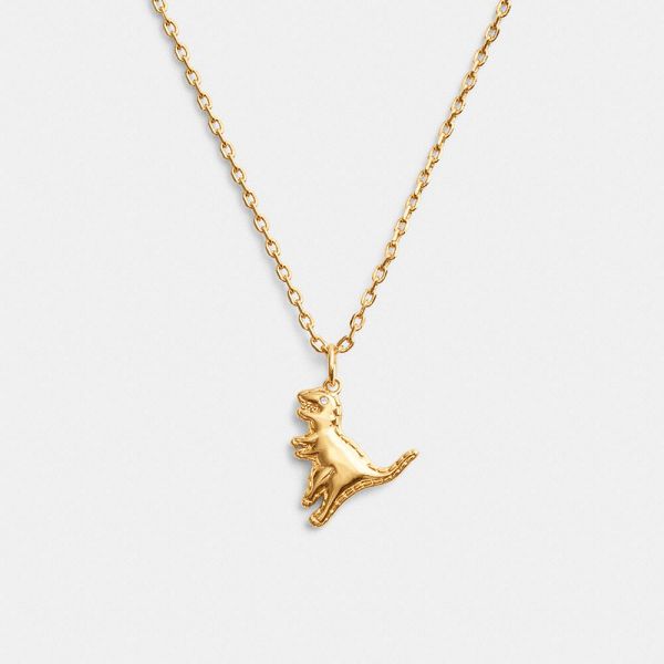 Dámské Náhrdelník Coach Stitched Rexy Pendant Zlaté | 7805964-CZ