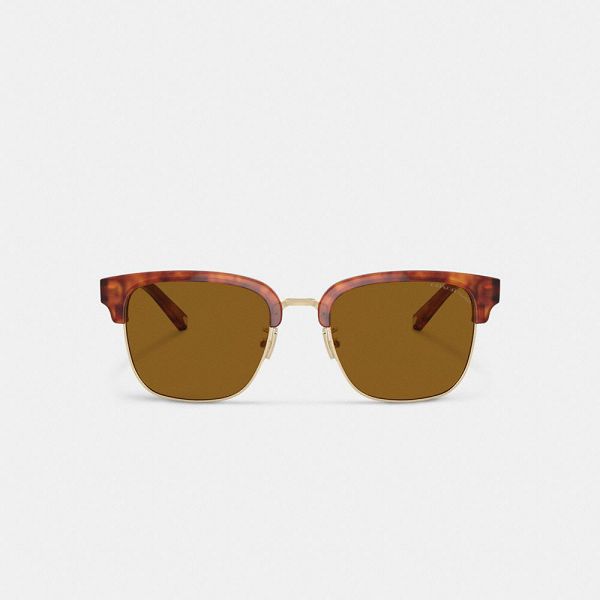 Pánské Sluneční Brýle Coach Retro Sunglasses Hnědé | 4582061-CZ